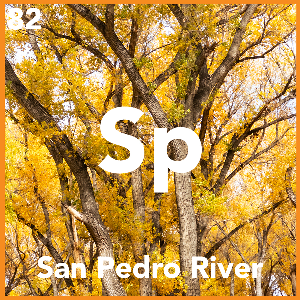 San Pedro River