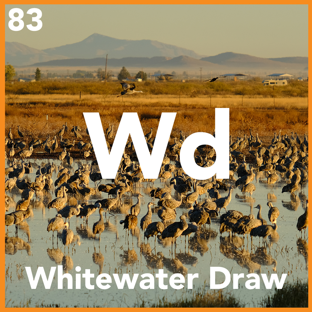 Whitewater Draw