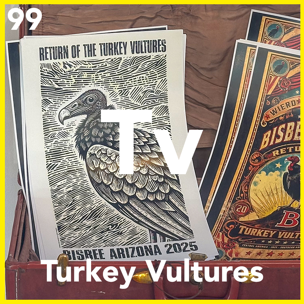 Bisbee’s Return of the Turkey Vultures